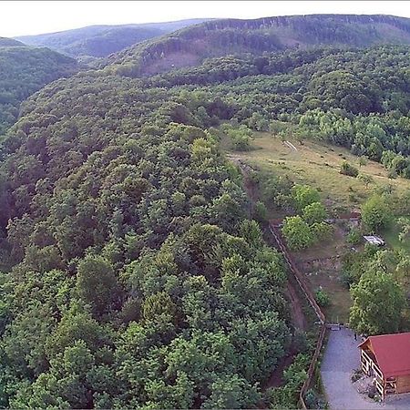 Творча Садиба Svalyava Bagian luar foto